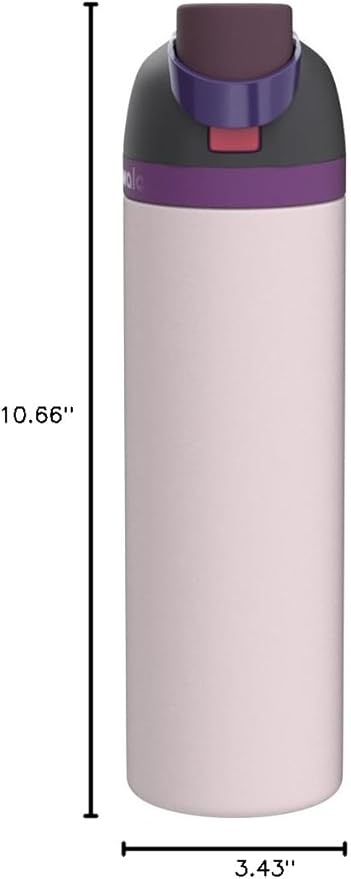 Owala FreeSip Insulated Stainless Steel Water Bottle with Straw for Sports, Travel, and School BPA-Free Sports Water Bottle, 32 oz, Dreamy Field
