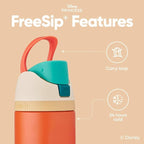 Owala Disney Princess FreeSip Insulated Stainless Steel Water Bottle with Straw for Sports and Travel, BPA-Free Sports Water Bottle, 24 oz, Moana