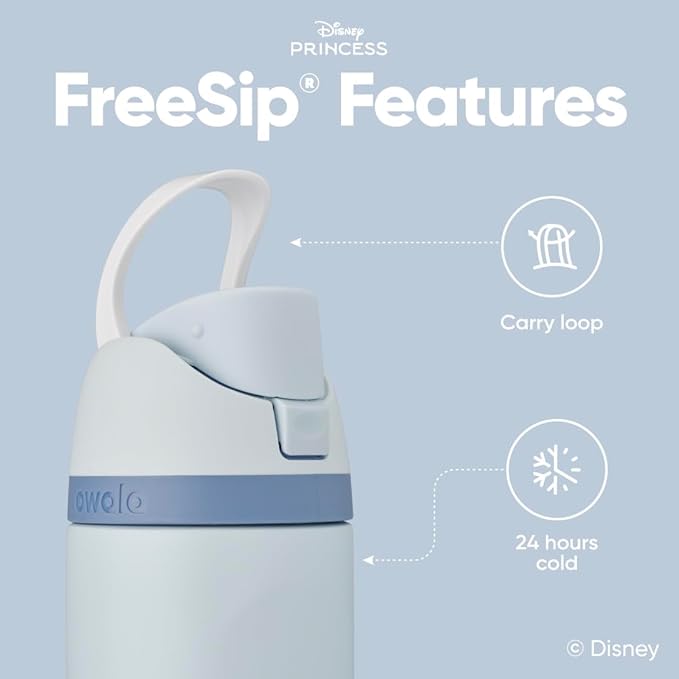 Owala Disney Princess FreeSip Insulated Stainless Steel Water Bottle with Straw for Sports and Travel, BPA-Free Sports Water Bottle, 24 oz, Cinderella