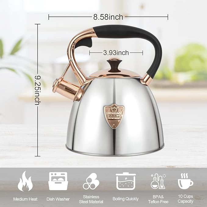 Tea Kettle -2.9 Quart Tea Kettles Stovetop Whistling Teapot Stainless Steel Tea Pots for Stove Top Whistle Tea Pot (Silver-Go)