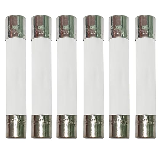 Microwave Fuse 20 Amp 250V Ceramic Fuse 20a Slow-Blow [6-Pack] - Compatible and Universal Replacement for Digital Microwave Oven & Other Countertop Microwave Ovens