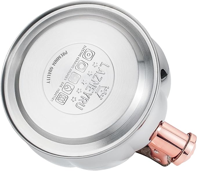 Stainless Steel Tea Kettle for Stove Top Teakettles Stovetop Whistling with Heat Proof Ergonomic Handle 2.5 Quart