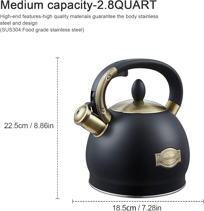Stove Top Whistling Tea Kettle- Stainless Steel Teakettle Teapot with Ergonomic Handle 2.6 Quart(Black)