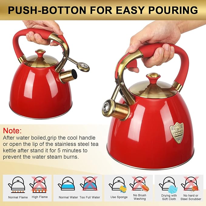 Tea Kettle -2.9 Quart Tea Kettles Stovetop Whistling Teapot Stainless Steel Tea Pots for Stove Top Whistle Tea Pot