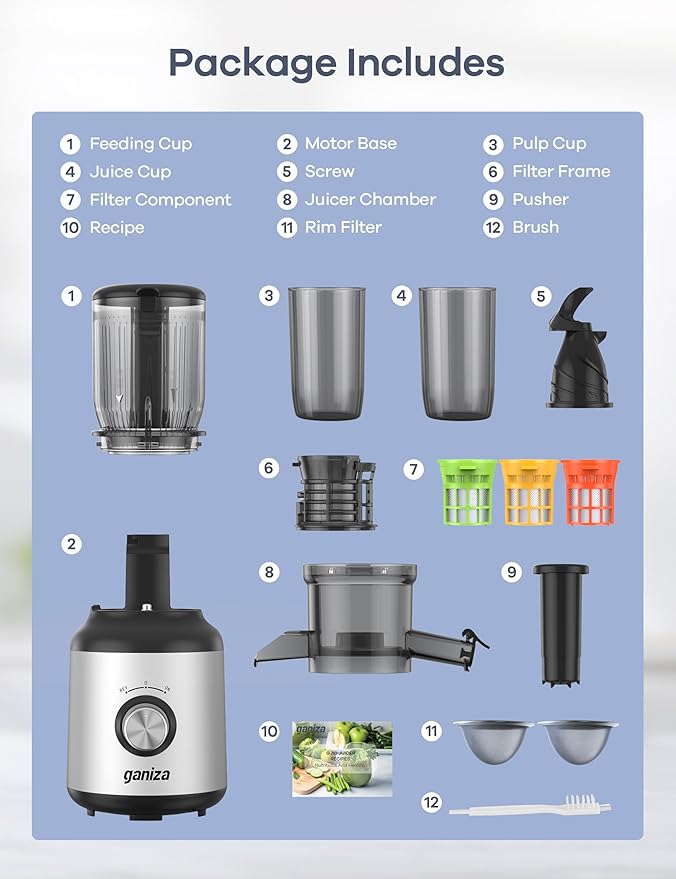 Ganiza Juicer Machines, Slow Masticating Juicers with Large Feed Chute for Whole Fruits & Vegetables, Cold Press Juicer with 3 Replace Filters for Batch Juicing, Easy to Clean, BPA Free(Silver)