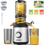 Ganiza Juicer Machines, Slow Masticating Juicers with Large Feed Chute for Whole Fruits & Vegetables, Cold Press Juicer with 3 Replace Filters for Batch Juicing, Easy to Clean, BPA Free(Silver)