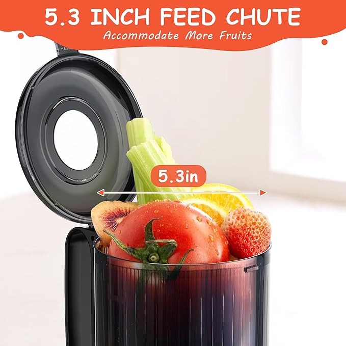 Hobsir Juicer Machines, 5.3-Inch Cold Press Juicers, Masticating Slow Juicer Machine with 300W, Large Feed Chute Juice Machines for Vegetables and Fruits, Easy to Clean Juicers Magic, Black