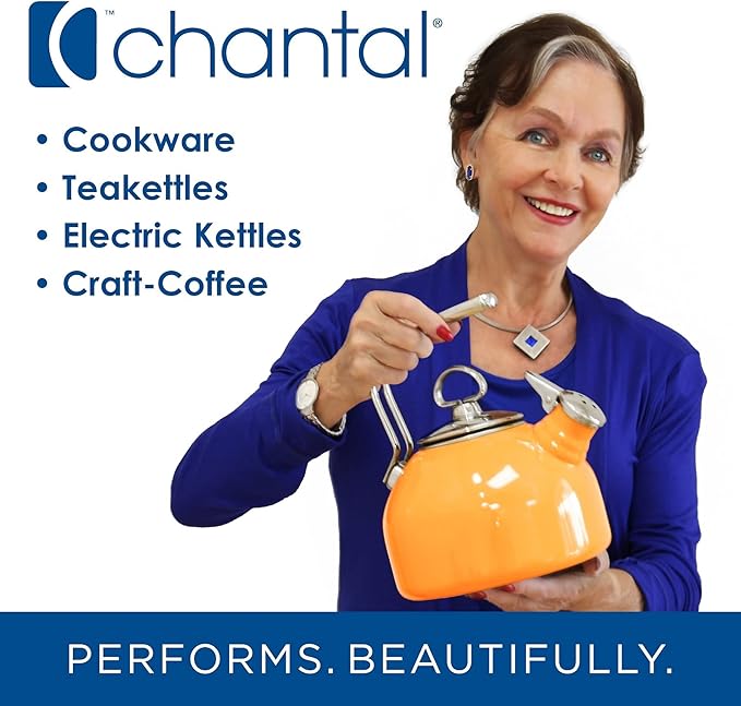 Chantal Stainless Steel Griddle, 19" x 9.5" (Brushed Stainless Steel)
