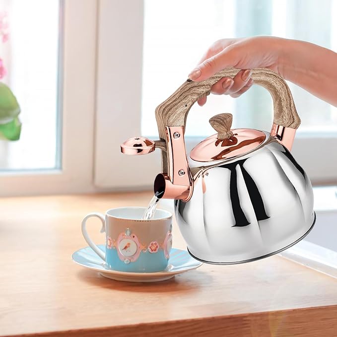 Stainless Steel Tea Kettle for Stove Top Teakettles Stovetop Whistling with Heat Proof Ergonomic Handle 2.5 Quart