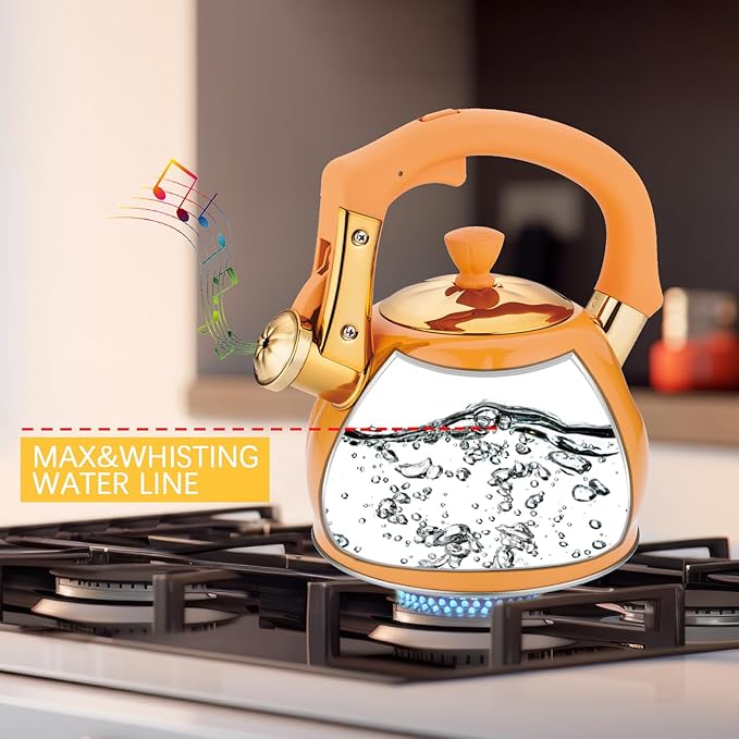 Stainless Steel Tea Kettle for Stove Top Teakettles Stovetop Whistling with Heat Proof Ergonomic Handle 2.5 Quart