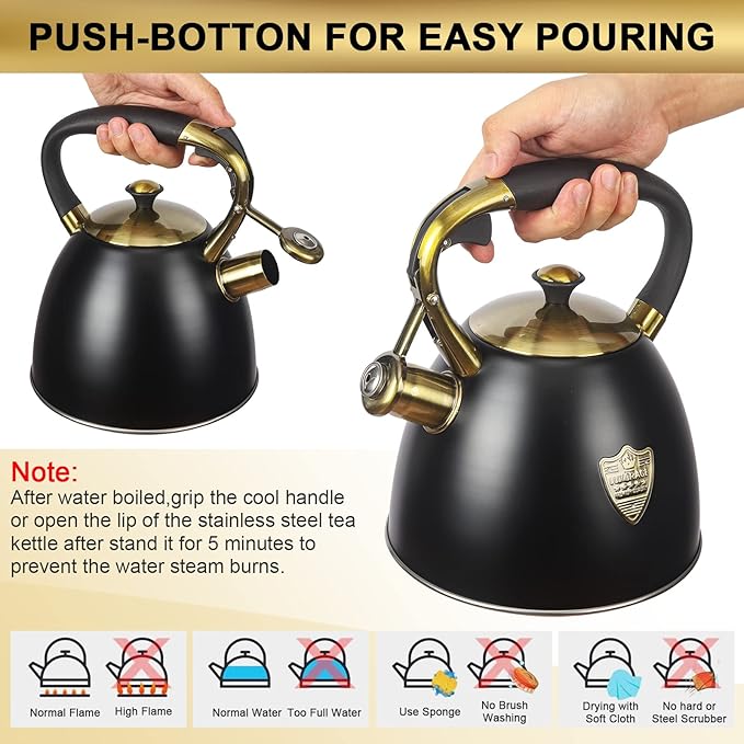 Tea Kettle -2.9 Quart Tea Kettles Stovetop Whistling Teapot Stainless Steel Tea Pots for Stove Top Whistle Tea Pot
