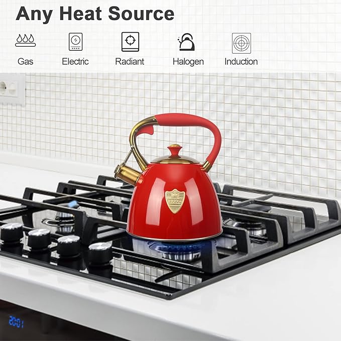Tea Kettle -2.9 Quart Tea Kettles Stovetop Whistling Teapot Stainless Steel Tea Pots for Stove Top Whistle Tea Pot