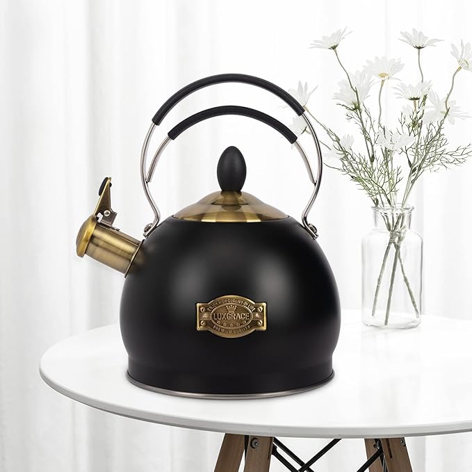 Whistling Tea Kettle Stainless Steel Teapot, Teakettle for Stovetop Induction Stove Top, Fast Boiling Heat Water Tea Pot 2.6 Quart