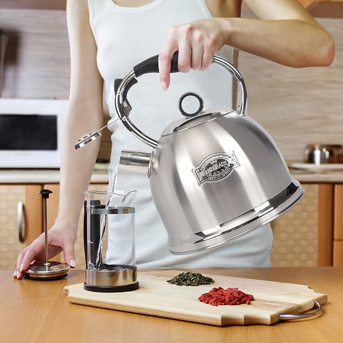 Tea Kettle for Stovetop, Food Grade Stainless Steel Water Kettle, Tea Pot for Home & Kitchen, 3.0 Qt