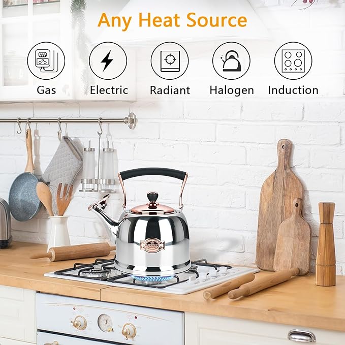 Tea Kettle Stainless Steel Teapot, Stainless Steel Teakettle for Stove Top with Heat Proof Ergonomic Handle 3.0 Quart