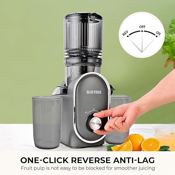 SUSTEAS Cold Press Juicer Machines, 5.3" Feed Chute(50oz Capacity), 300W Slow Masticating Juice Extractor for Whole Fruits and Vegetables, Automatic Feed, High Juice Yield,Easy to Clean, Silver gray
