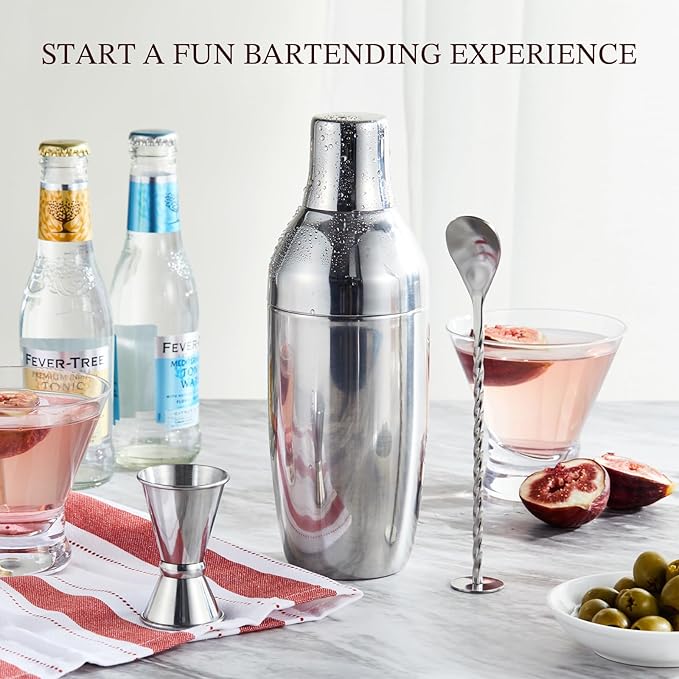 KITESSENSU Cocktail Shaker Set with Carry Case: Vacuum Insulated Martini Shaker with Built-in Strainer, 2 Martini Glasses, Measuring Jigger, Bar Mixing Spoon & Cocktail Recipes, Travel Bar Tool Set
