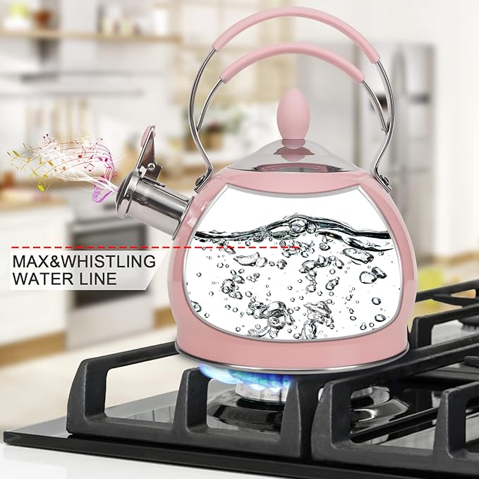 Whistling Tea Kettle Stainless Steel Teapot, Teakettle for Stovetop Induction Stove Top, Fast Boiling Heat Water Tea Pot 2.6 Quart