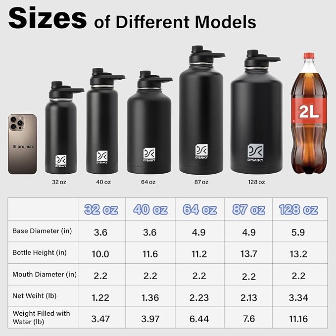 DYSANKY 32 oz Insulated Water Bottle | Thickened Stainless Steel Vacuum Metal | Portable Sports Water Jug for Gym and Hiking with Straw, Carrier Bag, Handle Strap | BPA-Free 32 oz, Black