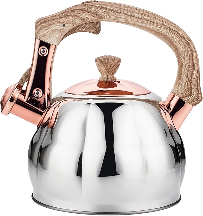 Stainless Steel Tea Kettle for Stove Top Teakettles Stovetop Whistling with Heat Proof Ergonomic Handle 2.5 Quart