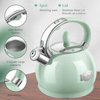 RETTBERG Tea Kettles Stovetop, 2.64 Quart Induction Whistling Tea Kettles Food Grade Stainless Steel Teapots with Cool Touch Handle Mint Green