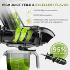 Cold Press Juicer Machine | 3 Inch Wide Chute | High Nutrition & Juice Yield | 3 Juicer Modes | Easy to Clean | Slow Masticating Juicer for Vegetables and Fruits [Black]