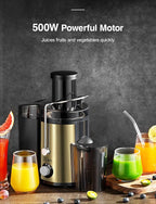 Juicer Machine, 800W Centrifugal Juicer Extractor with Wide Mouth 3” Feed Chute for Fruit Vegetable, Easy to Clean, Stainless Steel, BPA-free (Gold)
