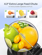 Ganiza Juicer Machines, Slow Masticating Juicers with Large Feed Chute for Whole Fruits & Vegetables, Cold Press Juicer with 3 Replace Filters for Batch Juicing, Easy to Clean, BPA Free(Silver)