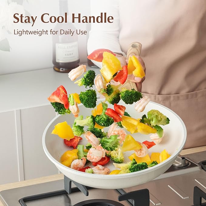 SENSARTE Nonstick Ceramic Frying Pan Skillet with Lid, 10 Inch Omelet Pan, Healthy Non Toxic Chef Pan, Induction Compatible Egg Pan with Heat Resistant Handle, Free of Intentionally Added PFAS/PTFE