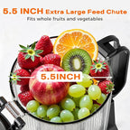 Cold Press Juicer, 5.5inch Wide Feed Chute Juicer Machine, Slow Masticating Juicer for Whole Vegetables & Fruits, Gray